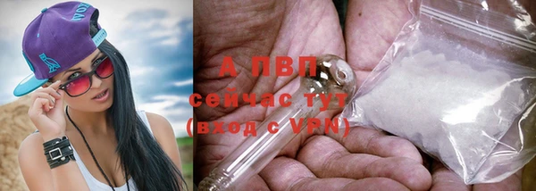 ALPHA PVP Киреевск