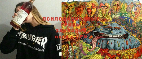 гидропоника Алексин