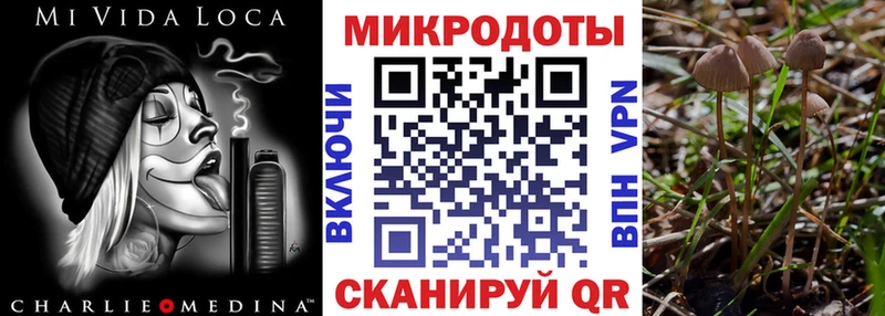 Псилоцибиновые грибы мицелий  darknet Telegram  Кулебаки 
